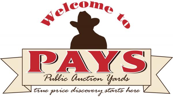 Public Auction Yards - CattleUSA